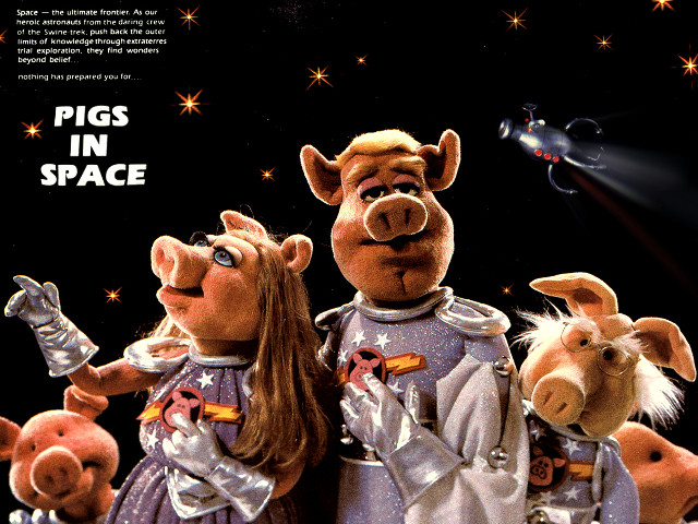 Pigs in space next to free wallpaper for desktop - medium preview image