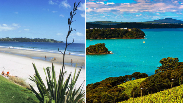 Beach hill tree ocean boat free wallpaper for desktop - medium preview image