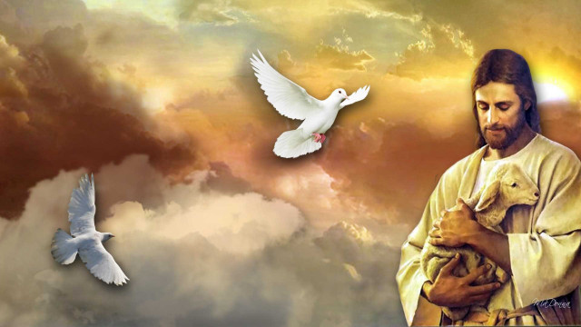 Man holding dog dove flying free wallpaper for desktop - medium preview image