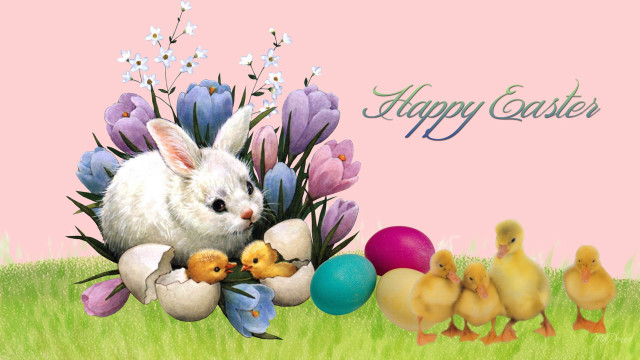 Happy easter bunny chicks grass free wallpaper for desktop - medium preview image