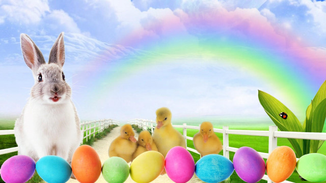 Rabbit chicks fenced area rainbow free wallpaper for desktop - medium preview image