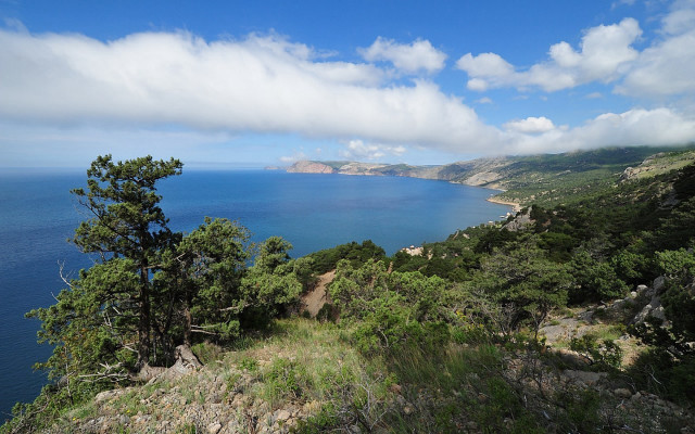 Hilltop water view trees cloudy free wallpaper for desktop - medium preview image
