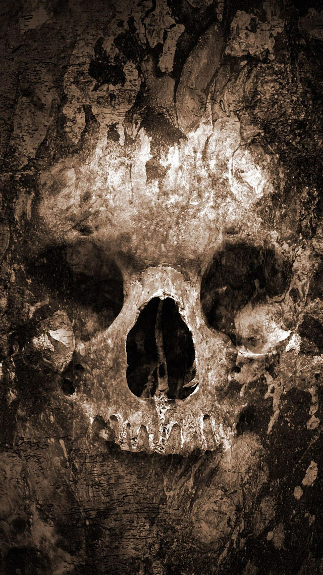 Skull black white photo light free wallpaper for mobile - medium preview image