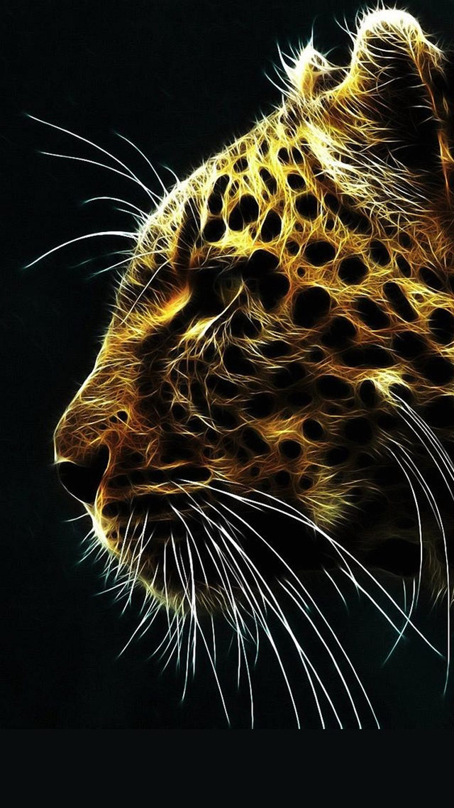 Leopard closeup black background yellow #3 free wallpaper for mobile - medium preview image