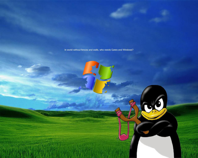 Penguin kite grass sky blue free wallpaper for desktop - medium preview image