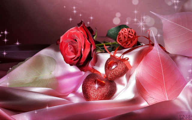 Roses pink cloth table hearts free wallpaper for desktop - medium preview image