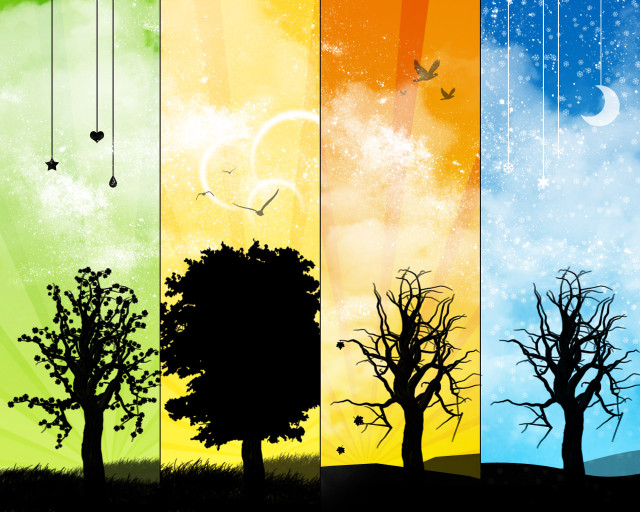 Trees birds sky stars banners free wallpaper for desktop - medium preview image