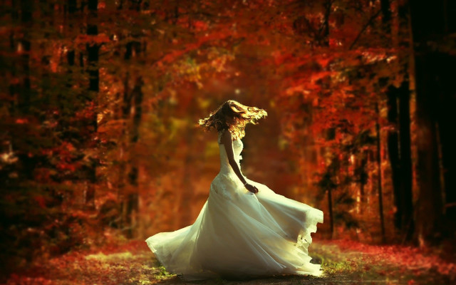 Woman white dress forest autumn #2 free wallpaper for desktop - medium preview image