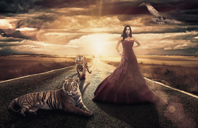 Woman red dress tiger road free wallpaper for desktop - medium preview image