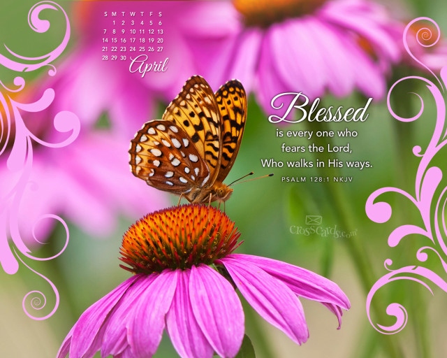 Butterfly flower quote sitting beautiful free wallpaper for desktop - medium preview image