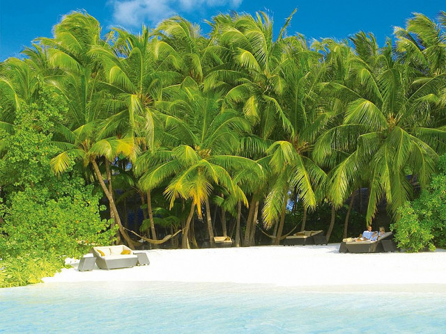 Beach palm trees people bench free wallpaper for desktop - medium preview image