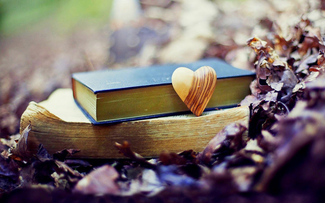 Book heart leaves woods pile free wallpaper for desktop - medium preview image