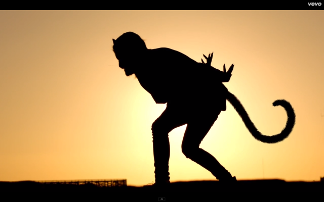 Person monkey cat sunset walking free wallpaper for desktop - medium preview image