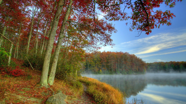 Lake autumn red leaves blue free wallpaper for desktop - medium preview image
