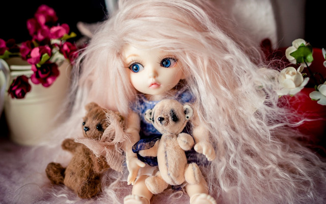 Doll longhair teddybears furflowers gilmour free wallpaper for desktop - medium preview image