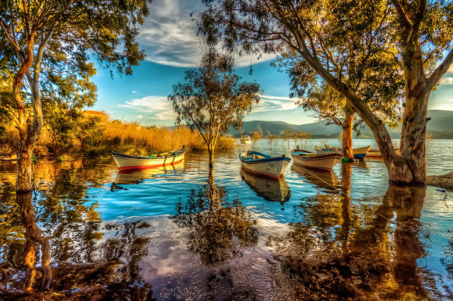 Boats lake forest trees leaves free wallpaper for desktop - medium preview image