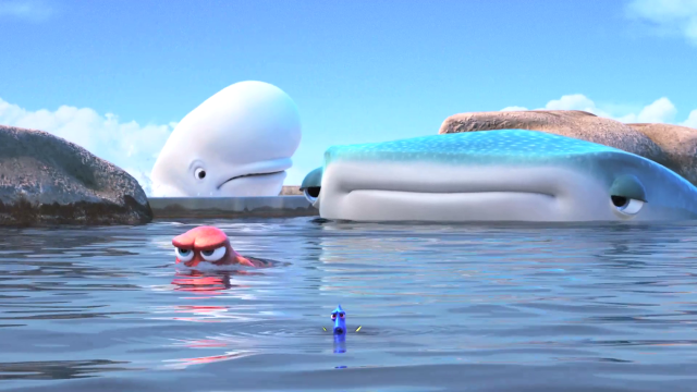 Man swimming pool whale background free wallpaper for desktop - medium preview image