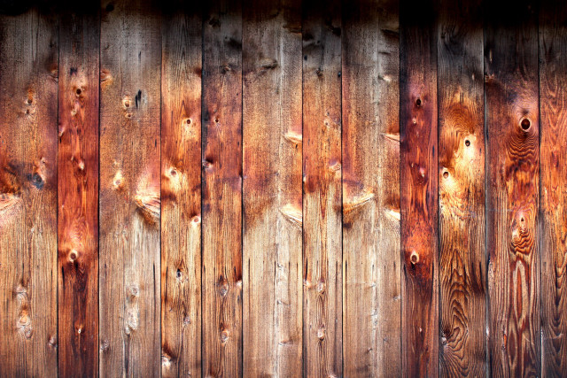 Wooden fence wood planks bird free wallpaper for desktop - medium preview image