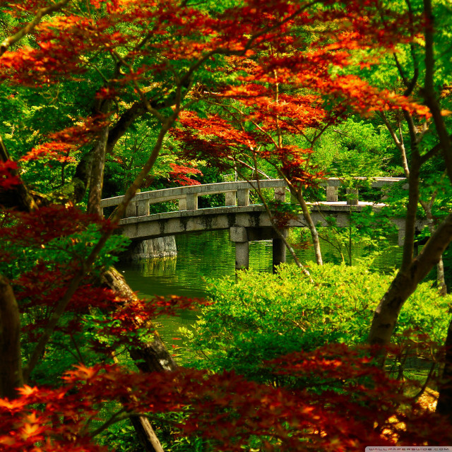 Bridge river trees autumn impressionism free wallpaper for tablet - medium preview image