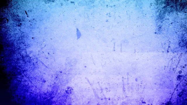 Blue purple background black cat free wallpaper for desktop - medium preview image