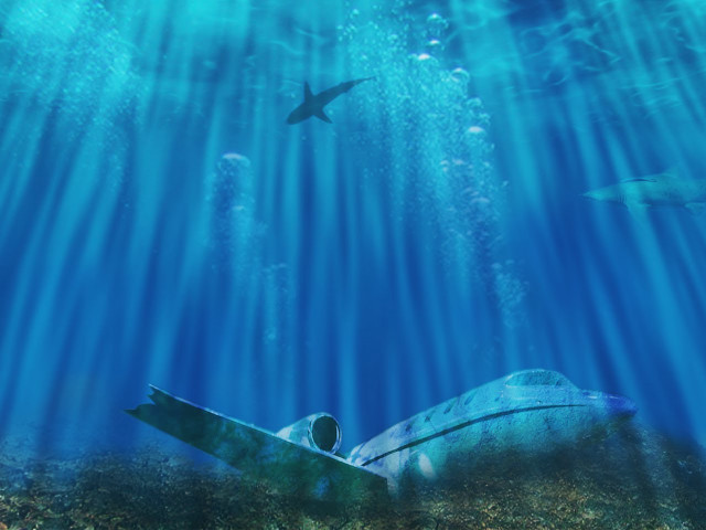 Large turtle shark sunny underwater free wallpaper for desktop - medium preview image