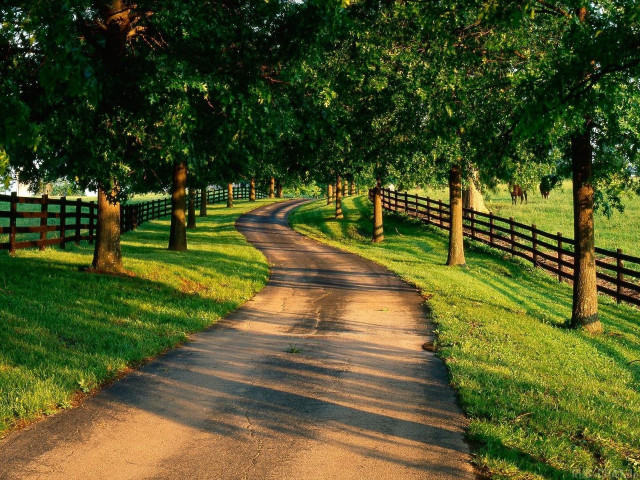 Dirt road fence trees grass #2 free wallpaper for desktop - medium preview image