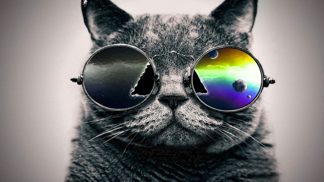 Cat sunglasses rainbow reflection black #2 free wallpaper for desktop - medium preview image