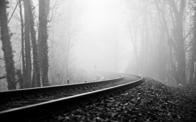 Train track forest fog trees free wallpaper for desktop - medium preview image