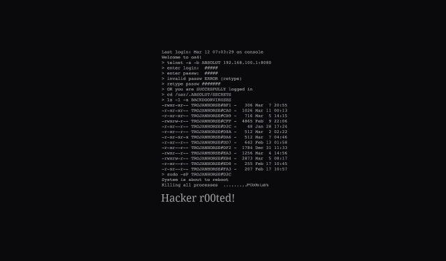 Hacker black background text 100d1d1 free wallpaper for desktop - medium preview image