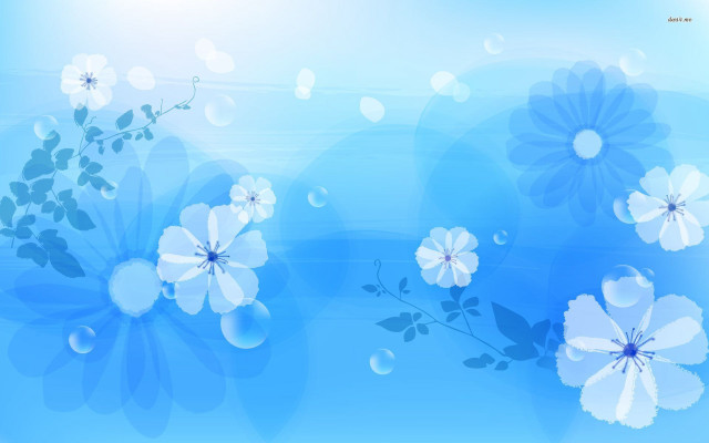 Blue background white flowers leaves free wallpaper for desktop - medium preview image