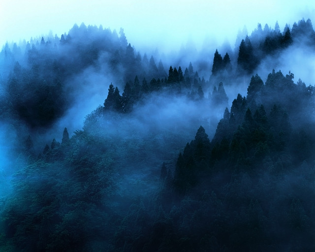 Mountain fog trees distance blue free wallpaper for desktop - medium preview image