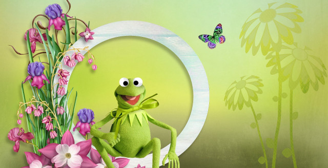 Frog chair butterfly flower green free wallpaper for desktop - medium preview image