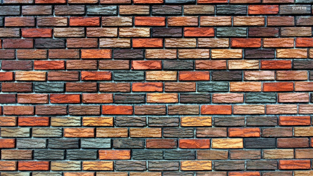 Brick wall colorful cat sitting free wallpaper for desktop - medium preview image