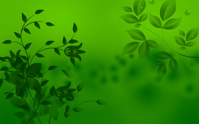 Green background leaves butterfly flying free wallpaper for desktop - medium preview image