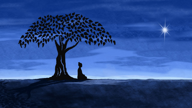 Person sitting tree night sky free wallpaper for desktop - medium preview image