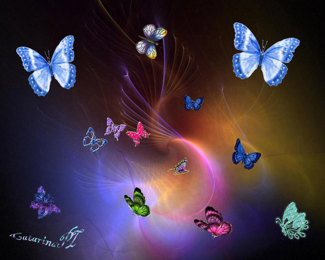 Butterflies spiral darkroom black background free wallpaper for desktop - medium preview image