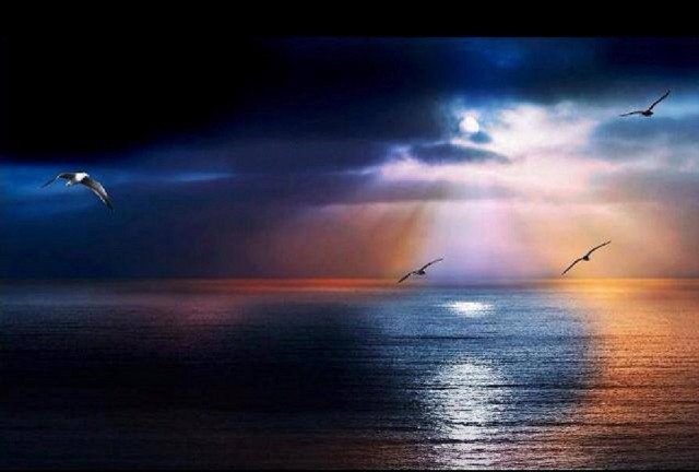 Birds flying over ocean sunbeams free wallpaper for desktop - medium preview image