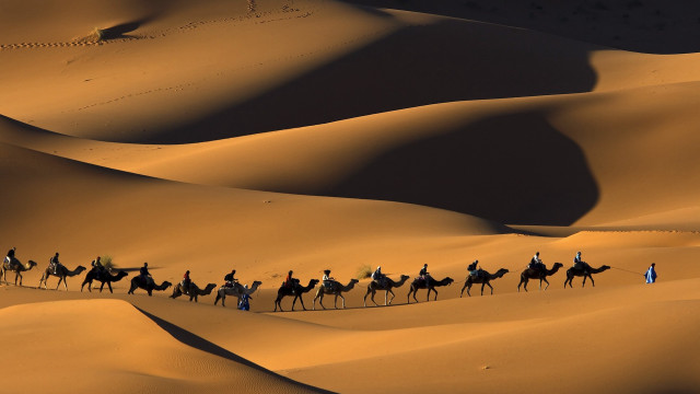 Camel ride desert group people #2 free wallpaper for desktop - medium preview image
