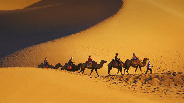 Camel riders desert group adventure #2 free wallpaper for desktop - medium preview image