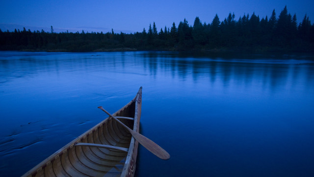 Canoe water paddle forest background free wallpaper for desktop - medium preview image