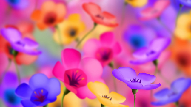 Colorful flowers field blurry background #2 free wallpaper for desktop - medium preview image