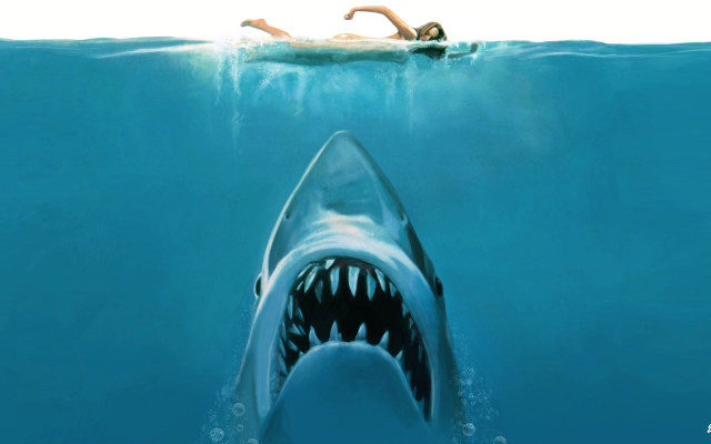Woman swimming ocean shark man free wallpaper for desktop - medium preview image