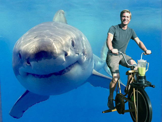 Man riding bike shark ocean free wallpaper for desktop - medium preview image