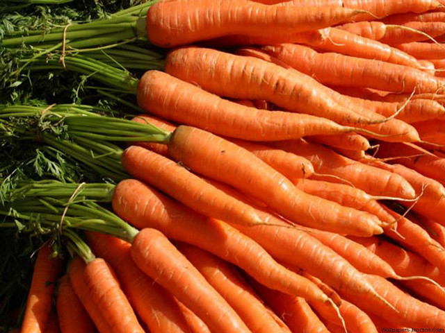 Carrots pile table green stems free wallpaper for desktop - medium preview image