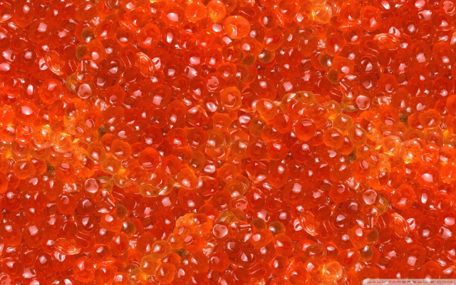 Red substance close up bubbles free wallpaper for desktop - medium preview image