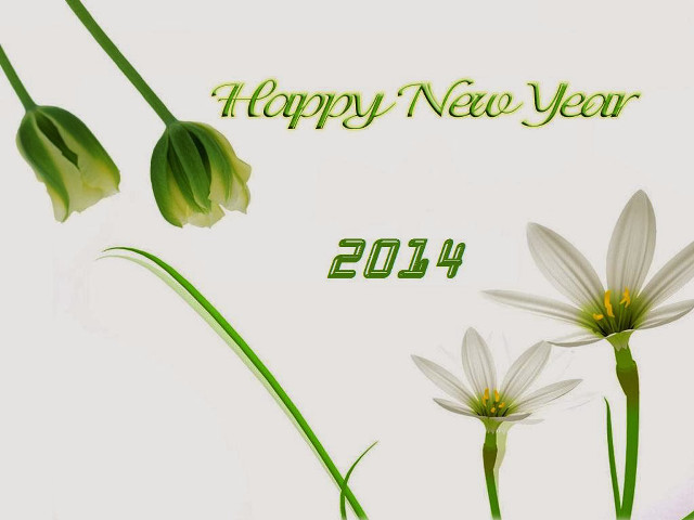 Happy new year flowers grass free wallpaper for desktop - medium preview image