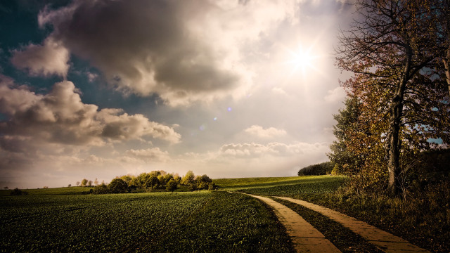 Path field tree cloudy sky free wallpaper for desktop - medium preview image