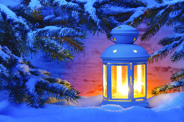 Blue lantern snow pine tree free wallpaper for desktop - medium preview image