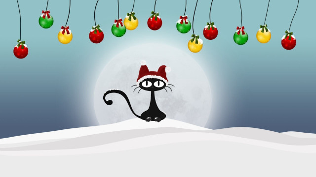 Cat santa hat snow christmas free wallpaper for desktop - medium preview image
