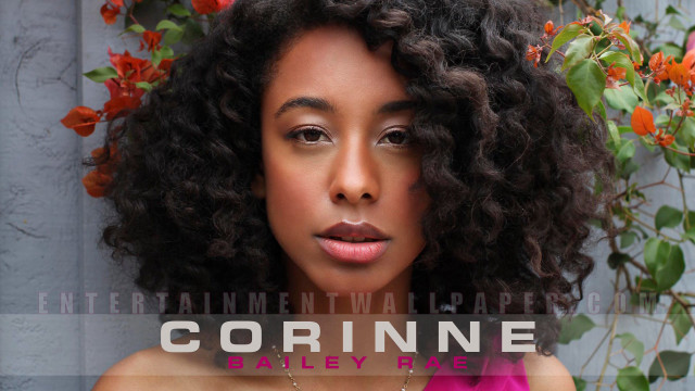 Daphne allen pink top flower free wallpaper for desktop - medium preview image